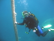 Divers