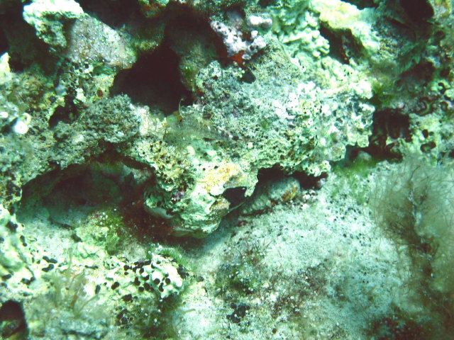 IMG_9289 - slightly up from center